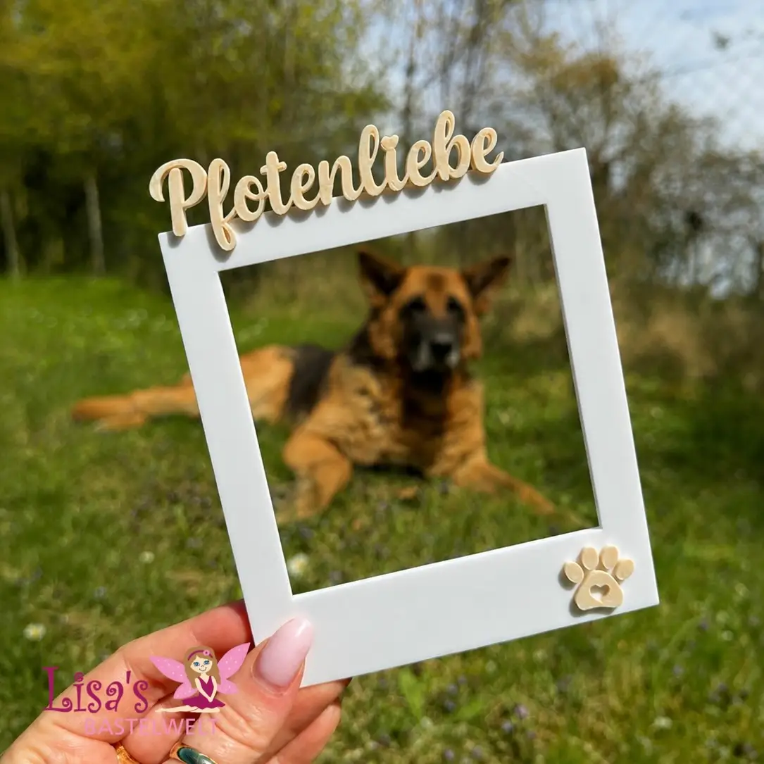 Foto-Props für die schönsten Erinnerungen mit deinem Hund – Bild 5